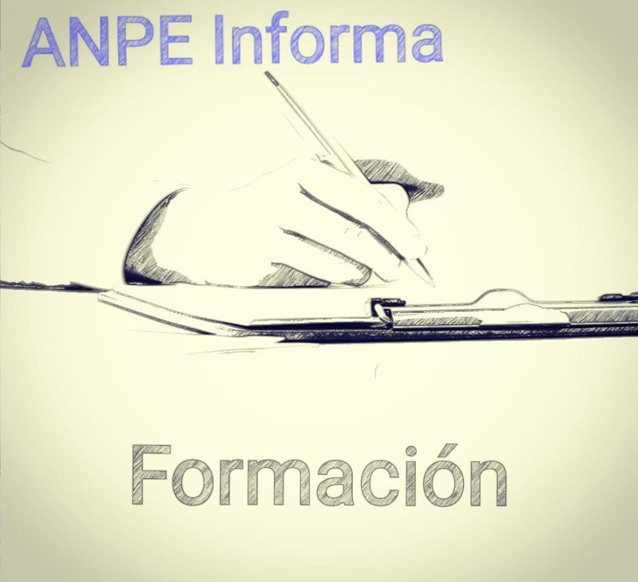 formación